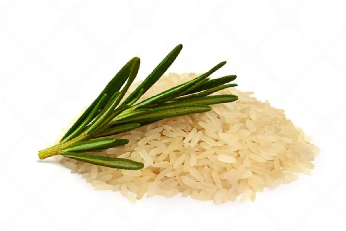 This method consists of placing rosemary and rice in a jar, which has proven to be a notable combination for its ability to naturally scent, reduce humidity, and create a balanced atmosphere in various spaces. Image: Freepik.